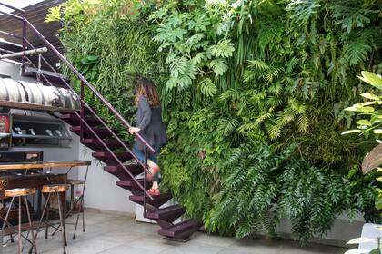 Las plantas actúan como reguladores térmicos, proporcionando ambientes más saludables