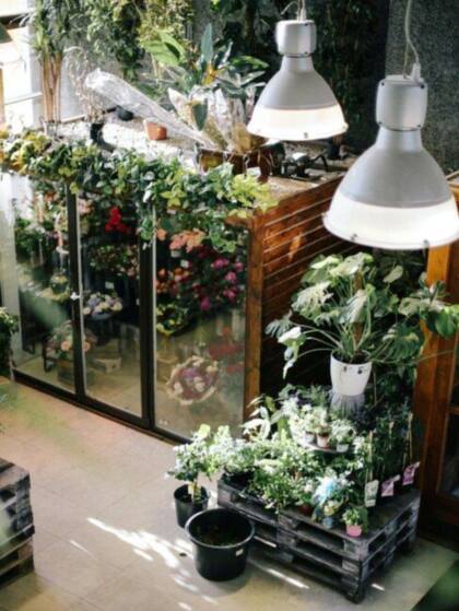 Las plantas aromáticas en el perímetro más cercano a las habitaciones del espacio funcionarán como ambientadores naturales.