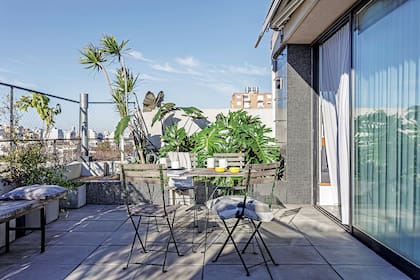 Las plantas avanzan sobre la protección de la terraza. Pronto darán una vista más verde y mayor privacidad.