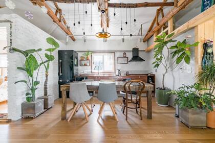 Las plantas dan energía, alegría y color a los ambientes