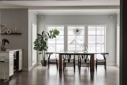 Las plantas de gran tamaño dicen presente para sumar una cuota verde durante los meses más crudos, en los que el paisaje solo es blanco.