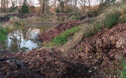 Las plantas en descomposición de esa isla se amontonan en el área de compost del parque
