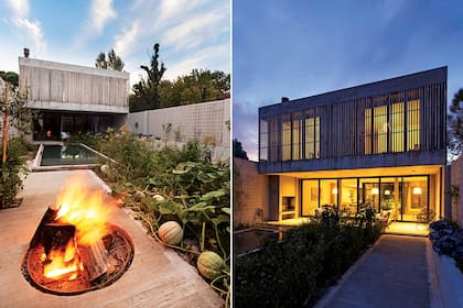 Las plantas nativas atraen fauna local: mariposas y colibríes, que a su vez polinizan la huerta