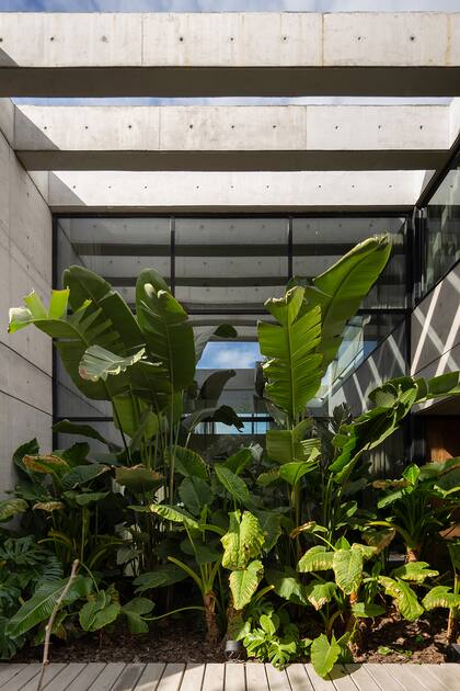 Las plantas, protagonistas del proyecto _ Arq. Mariano Fiorentini / Fotografía: Ramiro Sosa.