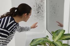 La técnica que descubrieron en Nueva York para eliminar la humedad en las casas