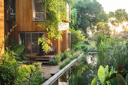 Las plantas que habitan la pileta son juncos, colocasias, achiras, thalias, sagitarias, aguapés, pontederias, caraguatás, equisetums, papiros del río y papiros imperiales, totoras, lotos, nenúfares y camalotes.