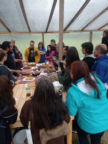 Las plantas silvestres en un contexto de crisis climática pueden significar una revolución frente al hambre, por eso dan cursos y explican cuáles son las plantas aptas