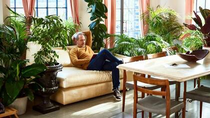 Las plantas son una alternativa tentadora porque son mucho más económicas que un purificador de aire