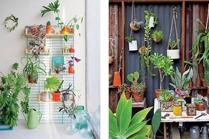 Las plantas tienen agenda propia: florecen cuando deciden florecer, pierden las hojas cuando es el momento apropiado. Mientras nosotros intentamos organizar cada segundo de nuestro tiempo, las plantas nos instan a frenar y disfrutar del momento, dice Judith de Graaff, creadora de Urban Jungle.