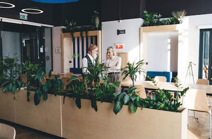 Las plantas y la luz natural son dos requisitos pedidos en las nuevos diseños de oficinas