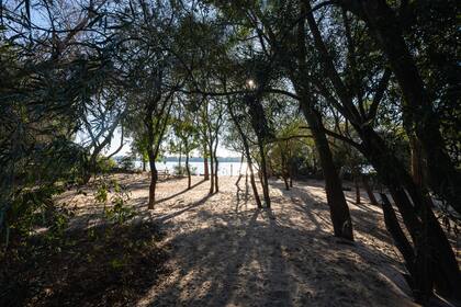 Las playas de arena y los bosques ribereños, uno de los atractivos del nuevo parque natural provincial