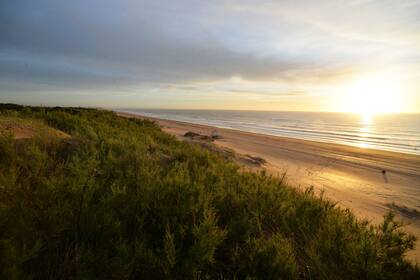 Las playas tranquilas y el bosque tupido, el sello de Mar de la Pampas