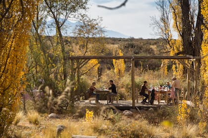 Las pocas mesas (no más de 15 o 20 cubiertos) se rodean de una alameda añosa,  justo a la vera del Arroyo Grande, el más grande de Valle de Uco.