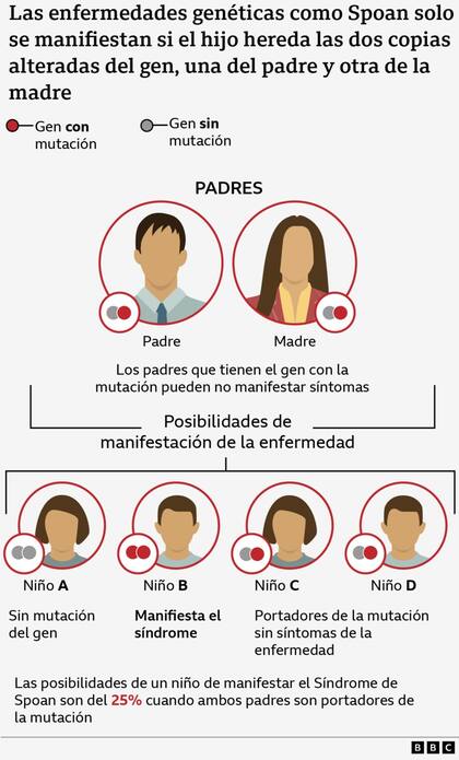 Las posibilidades de manifestación de Spoan