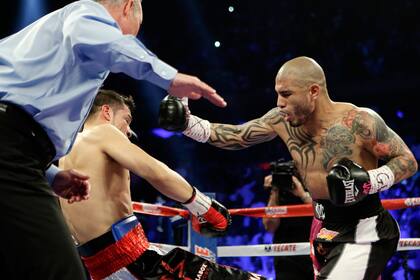 Las postales del boxeo argentino en 2014