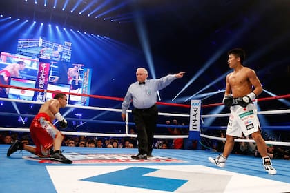 Las postales del boxeo argentino en 2014
