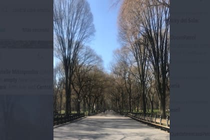 Las postales del parque todavía son de invierno.