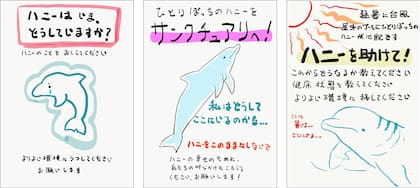 Las postales que lanzó la ONG Peace para salvar a Honey