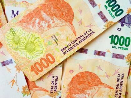 Las prestaciones que abona Anses en la jornada