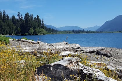Las primeras pericias no lograron establecer la identidad del fallecido