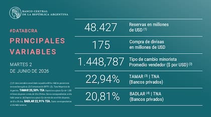 Las principales variables del martes 2 de junio Foto: BCRA