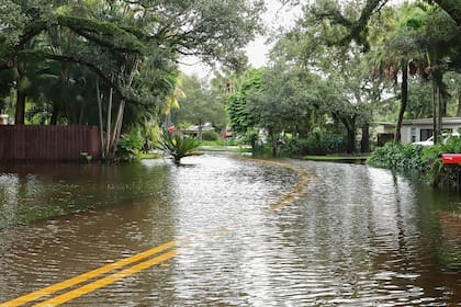 Las probabilidades de lluvia en Florida se ubican entre el 20% y el 50%