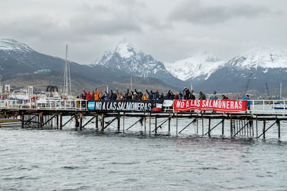 El mar argentino bajo amenaza: Tierra del Fuego debate permitir la salmonicultura El mar argentino bajo amenaza: Tierra del Fuego debate permitir la salmonicultura