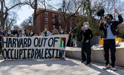 Las protestas pro palestinas en Harvard han sido una constante desde 2023