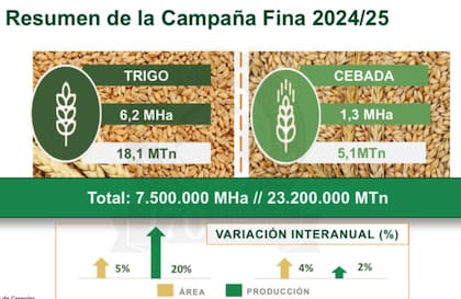 Las proyecciones para trigo y cebada