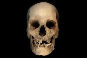 Las pruebas realizadas a un cráneo podrían aportar nuevos datos sobre la historia antigua