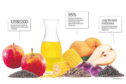Las pymes constituyen el 95% de las empresas exportadoras locales de productos orgánicos