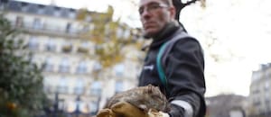 El ambicioso plan del nuevo alcalde de París para recuperar la “belleza” de la ciudad tras las críticas virales