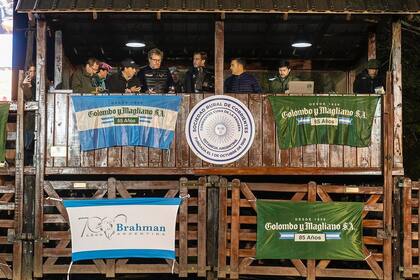 Las razas Braford y Brahman pusieron sus mejores ejemplares en la pista de ventas