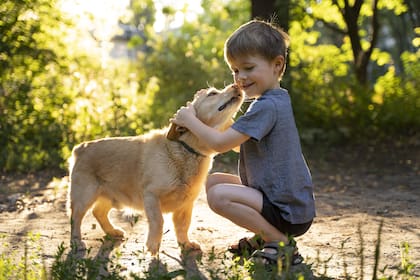 Las razas de perros más amigables para criar con niños