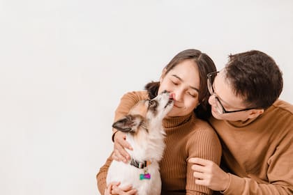 Las razas más afectuosas como el Golden Retriever o el Labrador lamen como una manera de expresar cariño
