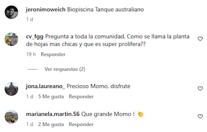 Las reacciones en redes sociales a su construcción