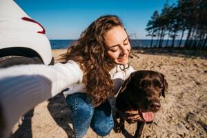 Las recomendaciones que las mascotas viajen sin estrés