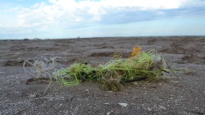 Las redes de monofilamento afectan a las especies marinas, especialmente las aves.