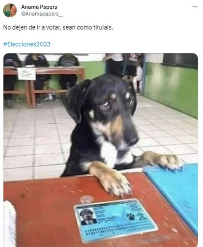Las redes estallaron de memes en le marco de las elecciones PASO 2023