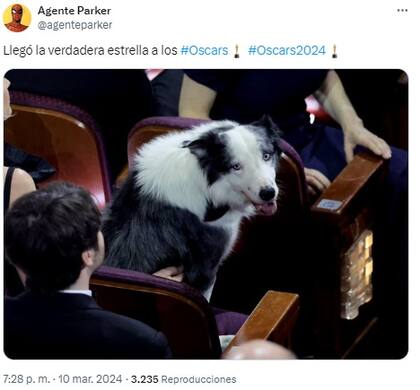 Las redes estallaron de memes tras la entrega de los Oscar 2024