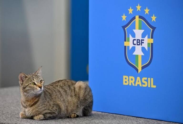 Veja os memes da eliminação do Brasil para a Croácia - Superesportes