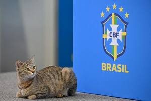 Las redes se llenaron de memes tras la eliminación de Brasil ante Croacia en los penales del Mundial