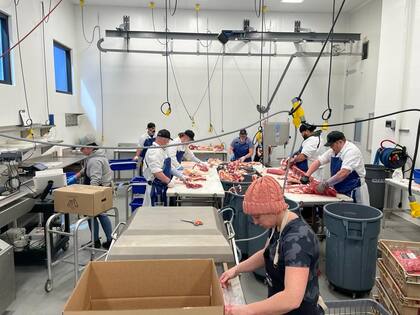 Las reglamentaciones sanitarias norteamericanas favorecen la posibilidad de que ganaderos particulares, grandes y pequeños, puedan tener su propia faena, trozado, venta y distribución de carne