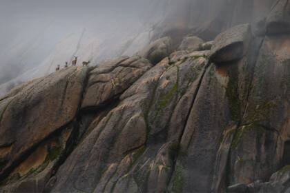 Las reinas de la verticalidad, Parque Nacional Sierra de Guadarrama, España. Autor Juan Jesús González Ahumada | Málaga, España