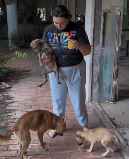 Las rescatistas se encontraron con un perro adulto que cuidaba a los cachorros (Foto: The Dodo)