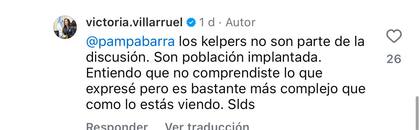 Las respuestas de Villarruel en Instagram