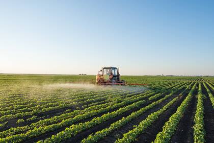 Las retenciones pueden modificar las decisiones de siembra