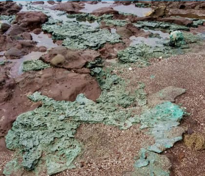 Las rocas formadas con plástico. Fuente: Fernanda AVELAR / Parana Federal University/AFP