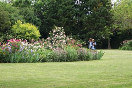 El interés de Cristina Macleod (a la derecha) por las rosas se despertó con las escenas que veía en pinturas holandesas y flamencas.