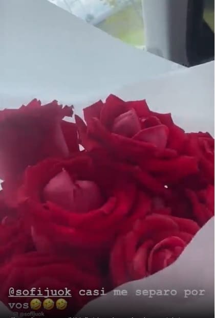 Las rosas que casi causan la separación de Sofía Jujuy Jiménez (Foto: captura Instagram)